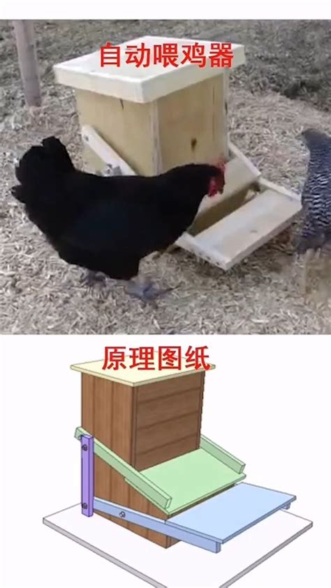 自动喂鸡器的原理图。_腾讯视频
