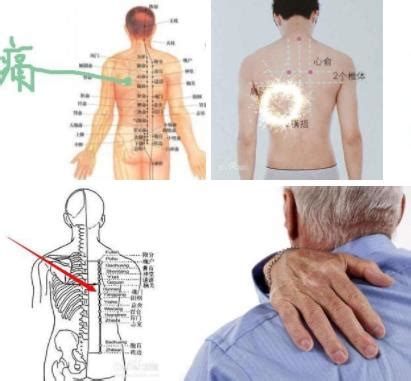 左后背疼痛是什么原因：不良坐姿和6大原因揭晓_知秀网