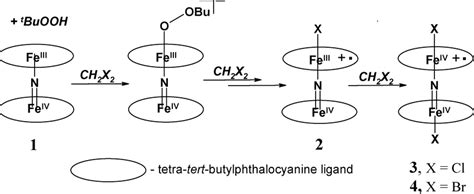 Kinetic investigation on the highly efficient and selective oxidation ...