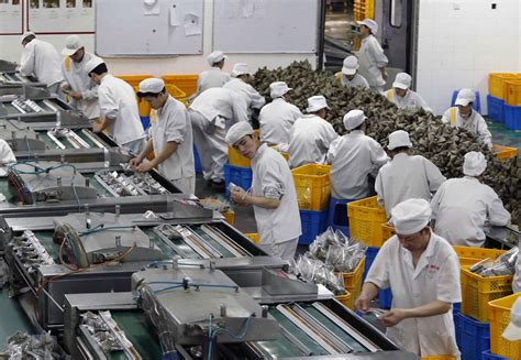 探访全国最大粽子工厂 高手一天包3000个
