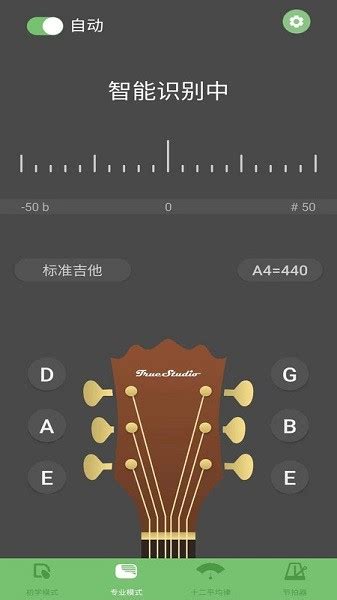 智能吉他调音器app下载-智能吉他调音器软件下载v2.1 安卓版-极限软件园