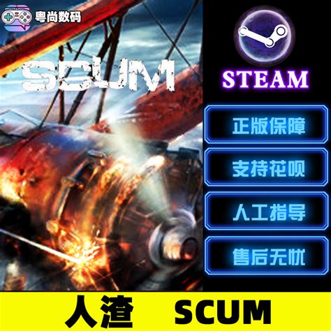 pc中文正版steam游戏 scum人渣 SCUM激活码cdk生存联机游戏_虎窝淘