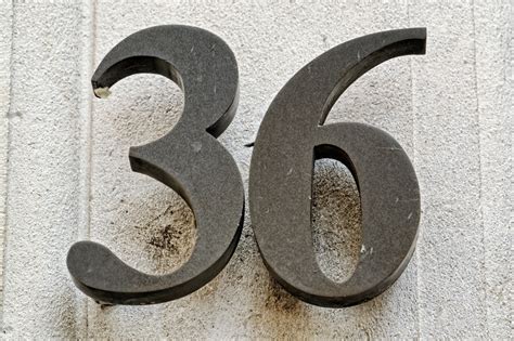 36 — тридцать шесть. натуральное четное число. регулярное число (число хемминга). в ряду ...