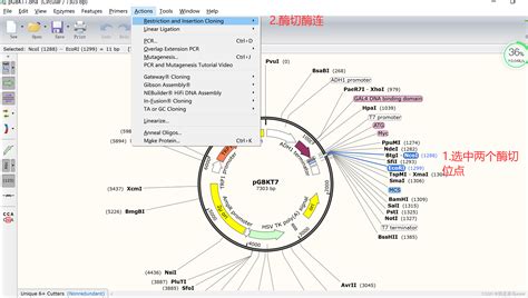 质粒图谱的下载及生物软件SnapGene的使用_质粒图谱下载-CSDN博客