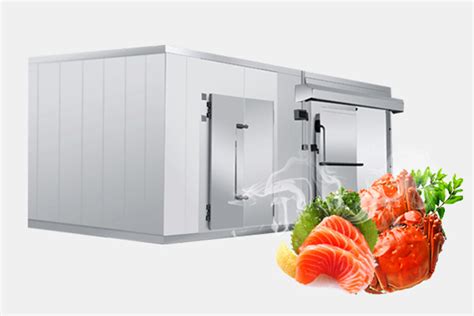 制冷设备-小型水果蔬菜保鲜冷库海鲜速冻移动小冷库-山东捷霖制冷设备有限公司