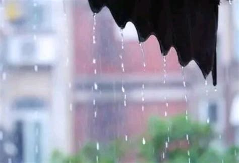 Doinb：今天上海下雨可能是刘青松的眼泪 别喷他了 他压力太大了-直播吧