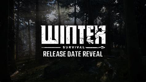 《冬日幸存者》在Steam多少钱 游戏售价介绍_玩一玩游戏网wywyx.com