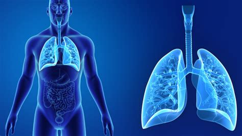 肺炎多久能痊愈，影响肺炎痊愈时间的因素是什么？-肺炎概况-复禾健康
