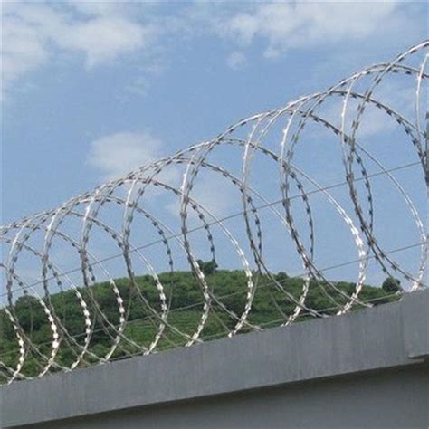 不锈钢刀刺网案例展示 - 安平县艾瑞金属丝网有限公司