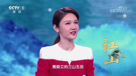 2016中国诗词大会第一季·第一期_腾讯视频
