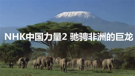 看世界1：NHK纪录片《中国力量》 驰骋非洲的巨龙