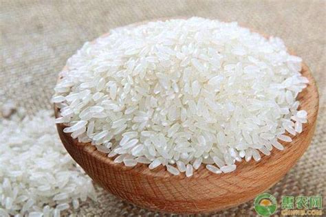 2022年大米价格多少钱一斤？优质大米的特点有哪些？ - 惠农网触屏版