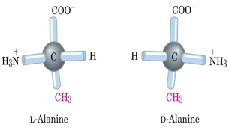基于2-羟基链烷酸的l-构型和d-构型错位不对称随机共聚物之间的立体络合物结晶,Crystal Growth & Design - X-MOL
