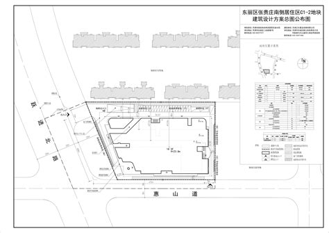 （东丽区）华明东区新建小学项目建筑工程设计方案总平面图公布_规划信息_天津市东丽区人民政府
