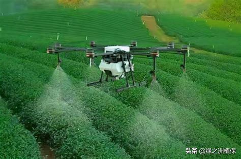 农业专家平台系统的核心原理、技术与未来发展