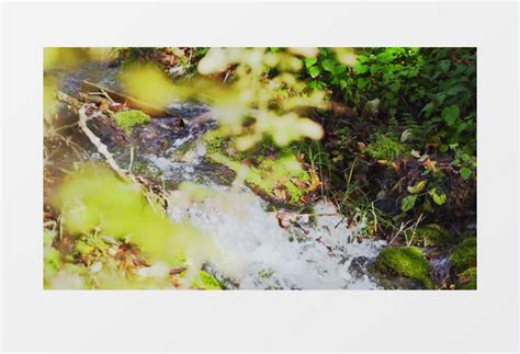 【林间小溪流水潺潺摄影图片】风光摄影_峰峰峦峦_太平洋电脑网摄影部落