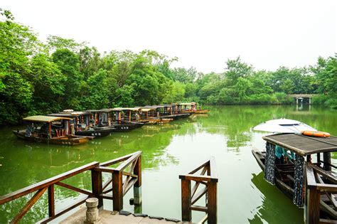 本周六起，西溪湿地新增免费开放区！景区这些路段免费玩！ - 周到上海