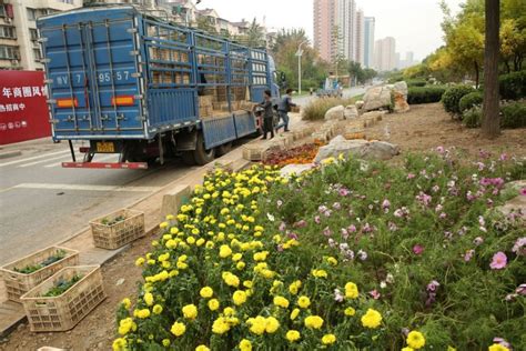 天津：40万株绿植美化八马路 打造绿色长廊- 园林资讯 - 园林网