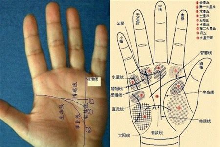 各种手相手纹你懂得怎么看吗 手相-周易算命网