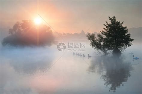 雾蒙蒙的秋日,达特穆尔公园的景观高清图片下载-正版图片300707347-摄图网
