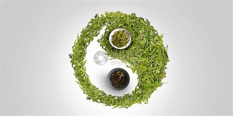 留学生体验茶文化 - 中华人民共和国教育部政府门户网站