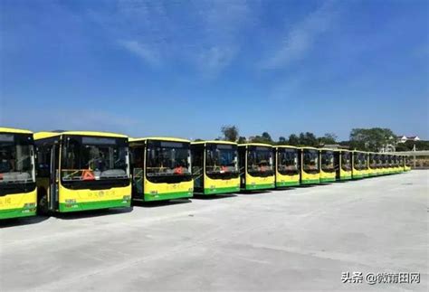 广州公交车身更换刷卡标识 新增“岭南通”logo及字样-岭南通