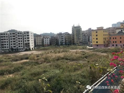 龙岗探索打造全市首个“近零碳街道”-行业动态-深圳市绿色建筑协会、深圳绿色建筑网