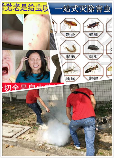 南京灭蟑螂,南京杀虫公司,专业南京灭鼠服务-南京清清有害生物防治有限公司