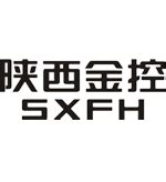 陕西将组建一个全新的省级金控集团！|陕西省|金融控股公司|金控集团_新浪新闻