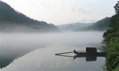 淋成落汤鸡图片