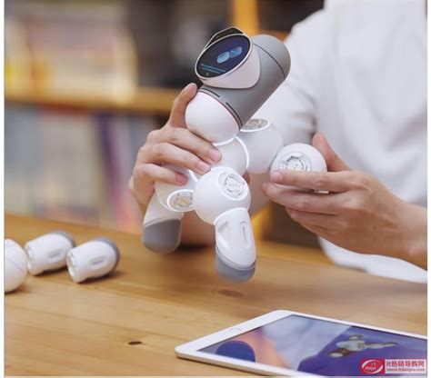 玩转机器人！浙江省第二十四届智能机器人竞赛在湖州举行-浙江教育在线