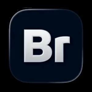 Adobe Bridge 2026 v16.0.5.19 BR2026破解版 中文直装激活版-悟界ShareHub