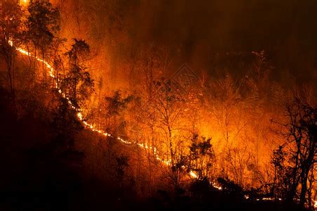 重点损害森林火灾夜间在泰国北部山上的森林中以红色和橙的焚烧野火树Soft焦点森林火灾野颜色高清图片下载-正版图片307956834-摄图网