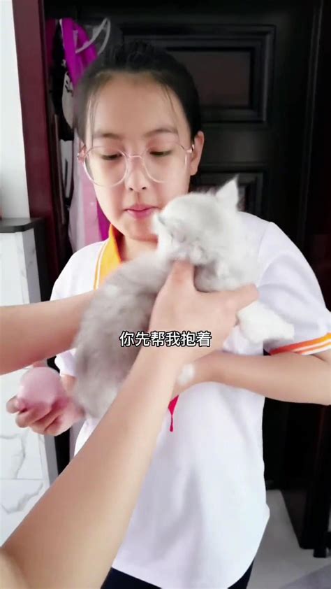 子晴放学抱了一只猫回家_腾讯视频