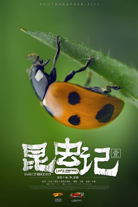 昆虫记精彩片段赏析 - 业百科