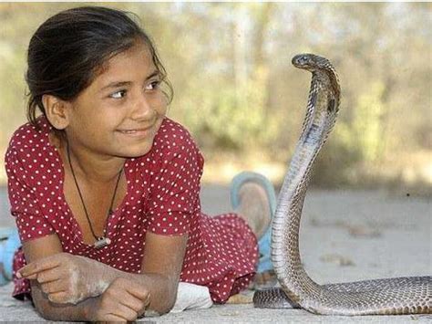 在印度男子与蛇跳舞，印度蛇女与蛇为伴，网友：这点值得学习！|艾格|印度|眼镜蛇_新浪新闻