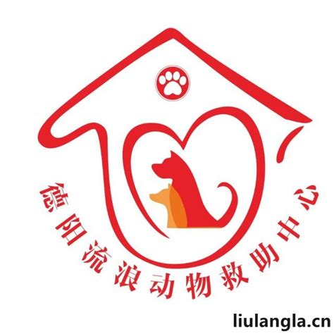 上海市流浪狗救助站，动物救助中心 - 流浪啦宠物领养网