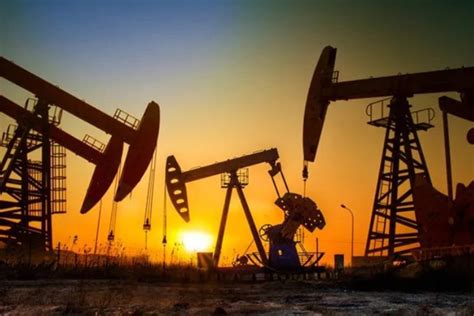 “三桶油”去年合计创收近7万亿 高油价“双刃剑”致使业绩分化明显 | 每日经济网