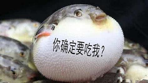 日本八旬老翁在家烹饪河豚 吃下后中毒身亡