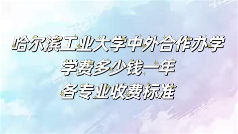 河北地质大学中外合作办学学费多少钱一年-各专业收费标准_大学生必备网