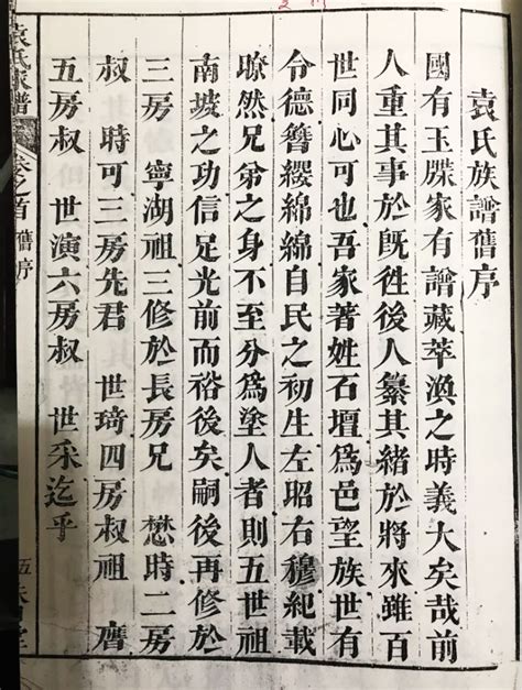 十七年，我为袁氏修家谱-搜狐大视野-搜狐新闻