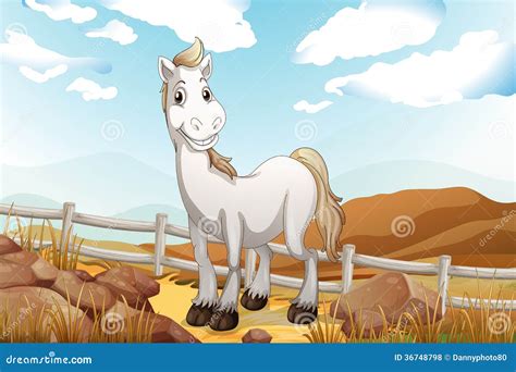 A White Horse Near the Wooden Fence Stock Illustration - Illustration of little, horse: 36748798