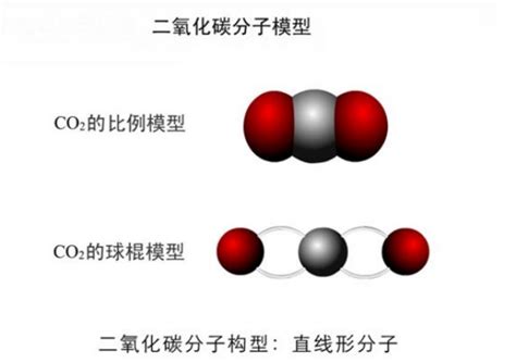 离子键的形成 共价键的形成
