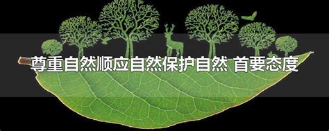 坚守初心13年，大自然家居公益植树传递自然力量_凤凰网