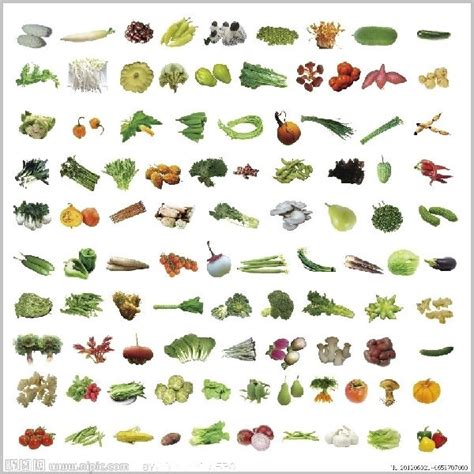 常见的100种蔬菜,常见的100种蔬菜名称,蔬菜图片大全(附名称)(第2页)_大山谷图库