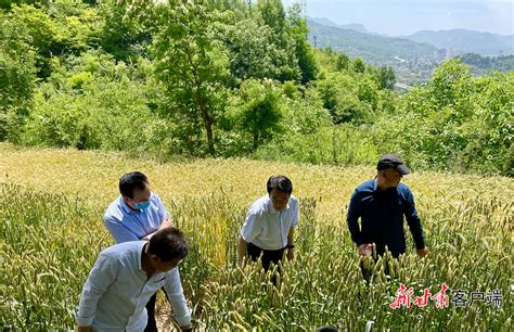 信阳农林学院：培育新型职业农民 助力乡村振兴-大河新闻
