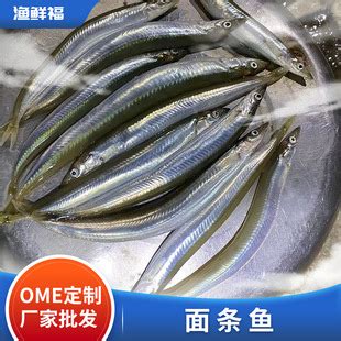 五条沙丁鱼图片免费下载_红动中国