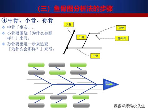 鱼骨图图片