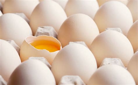 鸡蛋期货投资成本是多少？鸡蛋交易技巧-云智赢