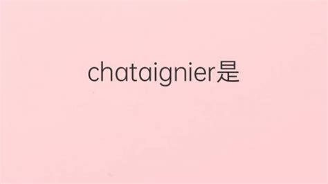 chataignier是什么意思 英文名chataignier的翻译、发音、来源 – 下午有课